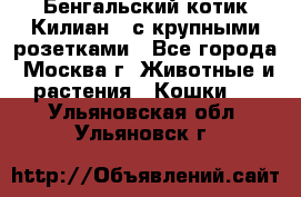 Бенгальский котик Килиан , с крупными розетками - Все города, Москва г. Животные и растения » Кошки   . Ульяновская обл.,Ульяновск г.